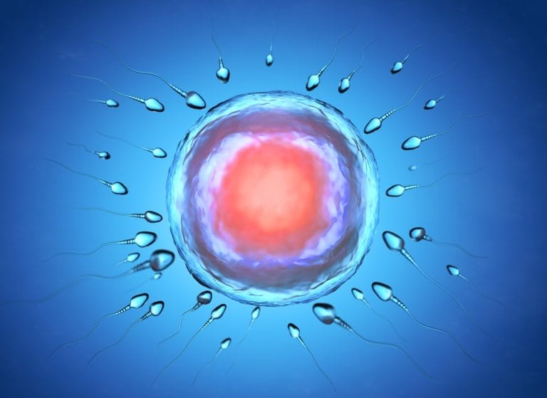 Assisted Reproductive Treatments